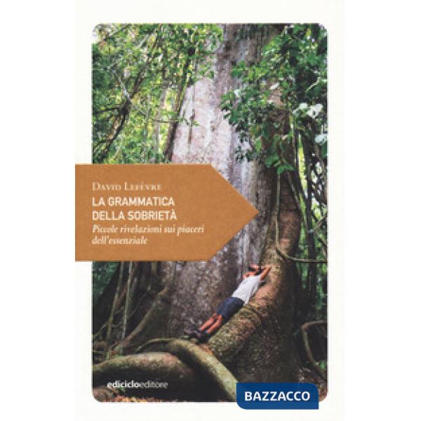 Grammatica della sobrietà. Piccole rivelazioni sui piaceri dell'essenziale (La)