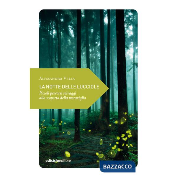 Notte delle lucciole. Piccoli percorsi selvaggi alla scoperta della meraviglia (La)