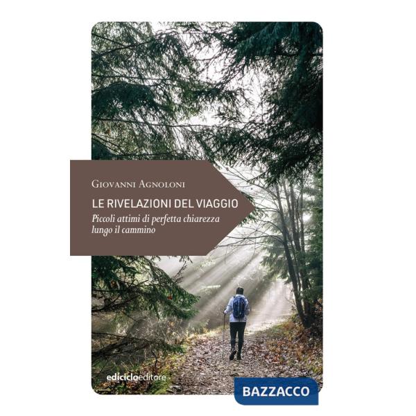 Rivelazioni del viaggio. Piccoli attimi di perfetta chiarezza lungo il cammino (Le)