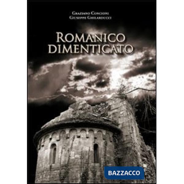 Romanico dimenticato. Documenti fotografici e schede descrittive di dodici chiese medioevalii della diocesi di Lucca