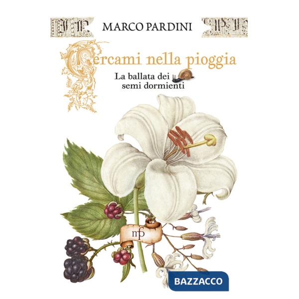 Cercami nella pioggia. La ballata dei semi dormienti