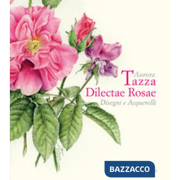 Aurora Tazza. Dilectae rosae. Disegni e acquarelli