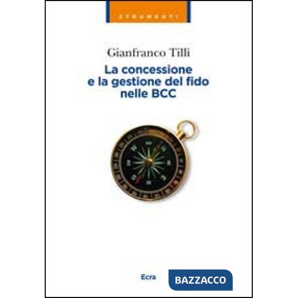 Concessione e la gestione del fido nelle BCC (La)