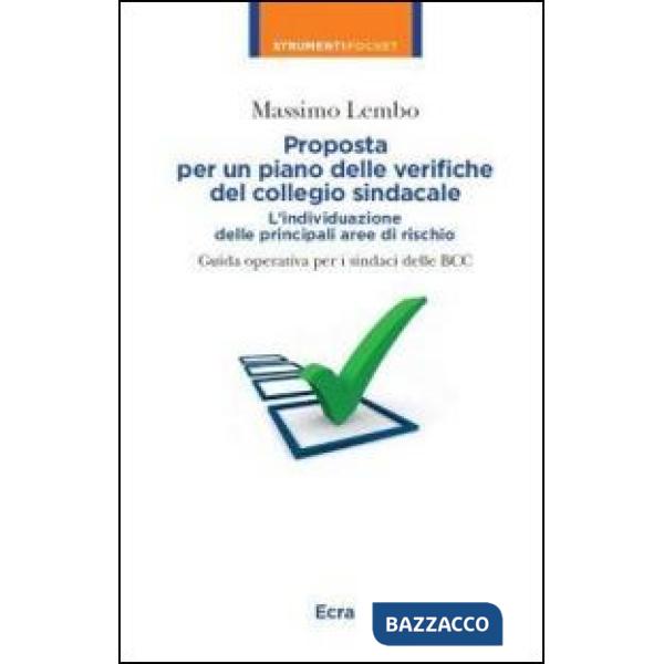 Proposta per un piano delle verifiche del collegio sindacale