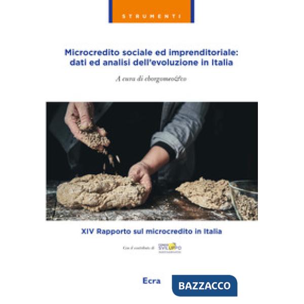 Microcredito sociale ed imprenditoriale: dati analisi dell'evoluzione in Italia