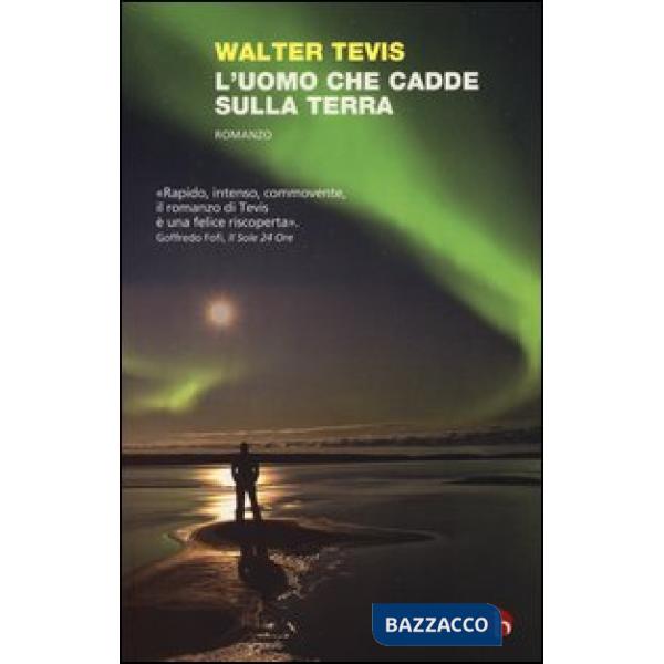 Uomo che cadde sulla terra (L')