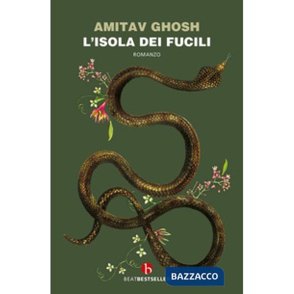 Isola dei fucili (L')