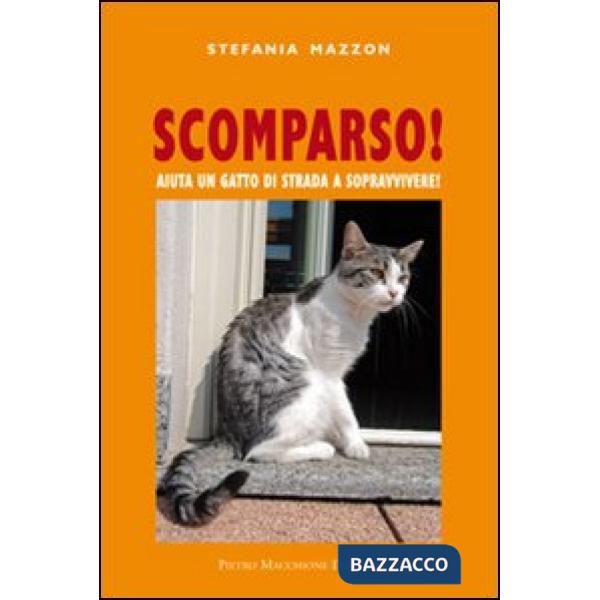 Scomparso. Aiuta un gatto di strada a sopravvivere