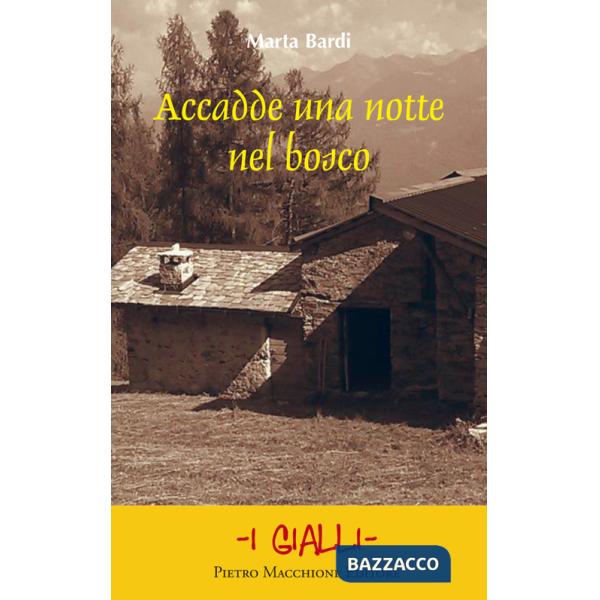 Accadde una notte nel bosco