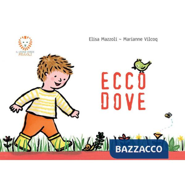 Ecco dove. Ediz. illustrata