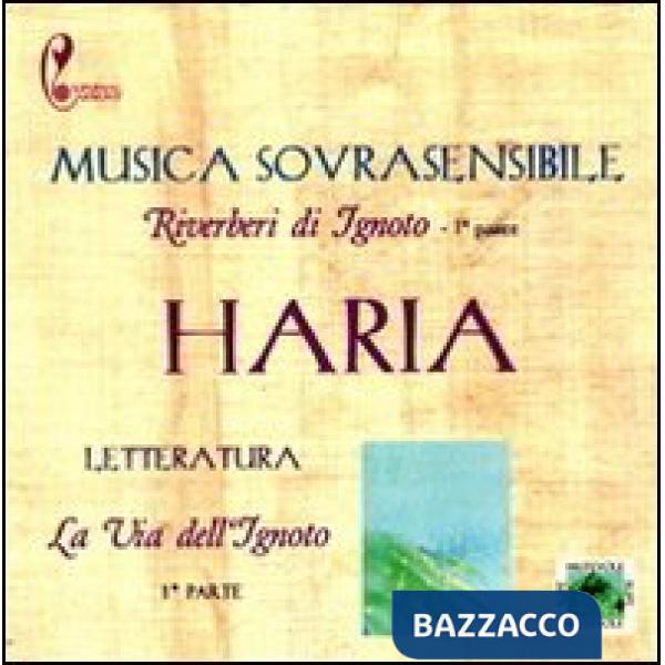 Via dell'ignoto. Riverberi di ignoto. Con CD Audio (La)