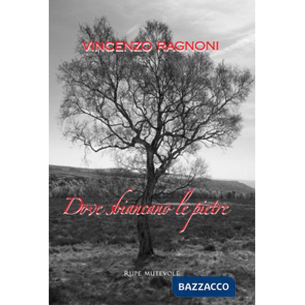 Dove sbiancano le pietre. Nuova ediz.