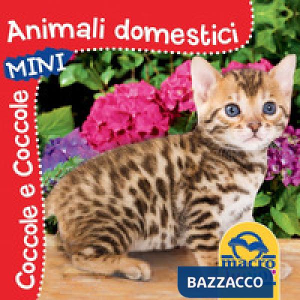 Animali domestici. Coccole e coccole mini. Ediz. illustrata