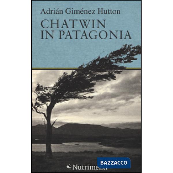 Chatwin in Patagonia