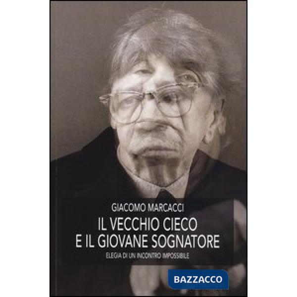 Vecchio cieco e il giovane sognatore. Elegia di un incontro impossibile (Il)