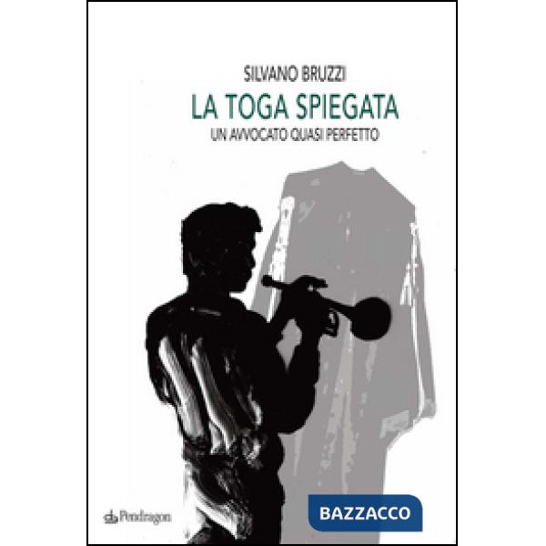 Toga spiegata. Un avvocato quasi perfetto (La)