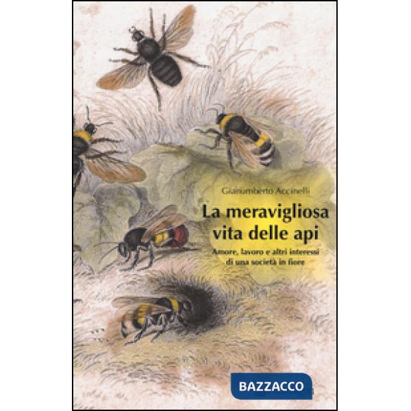 Meravigliosa vita delle api. Amore, lavoro e altri interessi di una società in fiore (La)