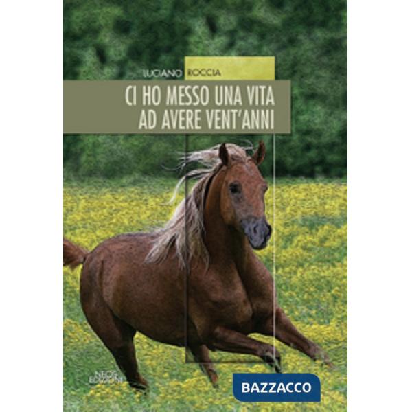 Ci ho messo una vita ad avere vent'anni