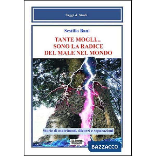 Tante mogli... sono la radice del male nel mondo. Storie di matrimoni, divorzi e separazioni