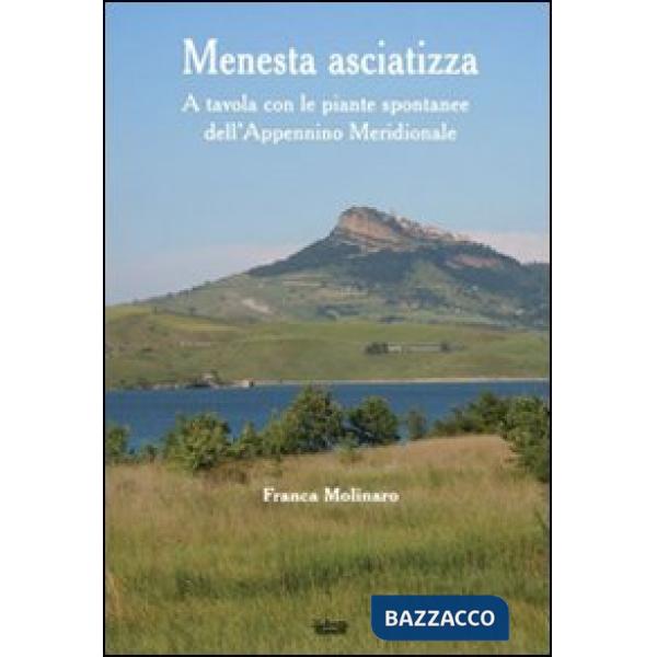 Menesta asciatizza. A tavola con le piante spontanee dell'Appennino meridionale