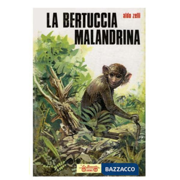 Bertuccia malandrina (La)
