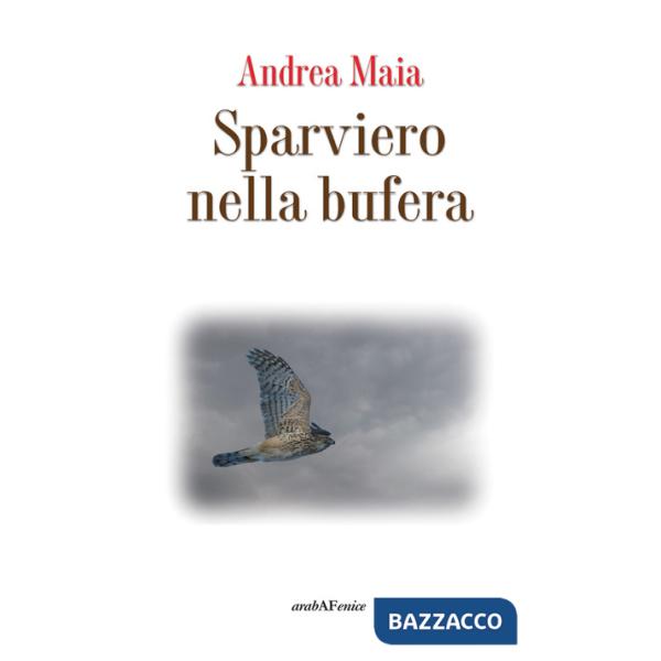 Sparviero nella bufera