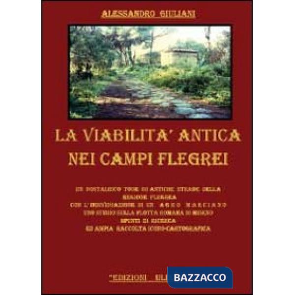 Viabilità antica nei campi Flegrei (La)