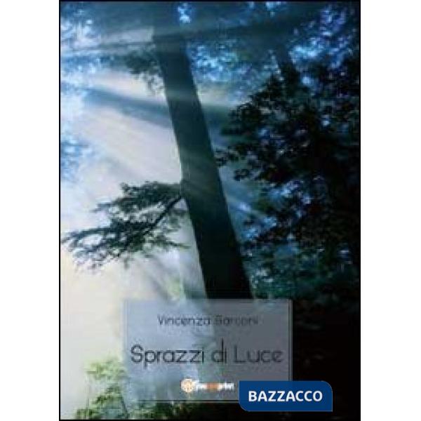 Sprazzi di luce