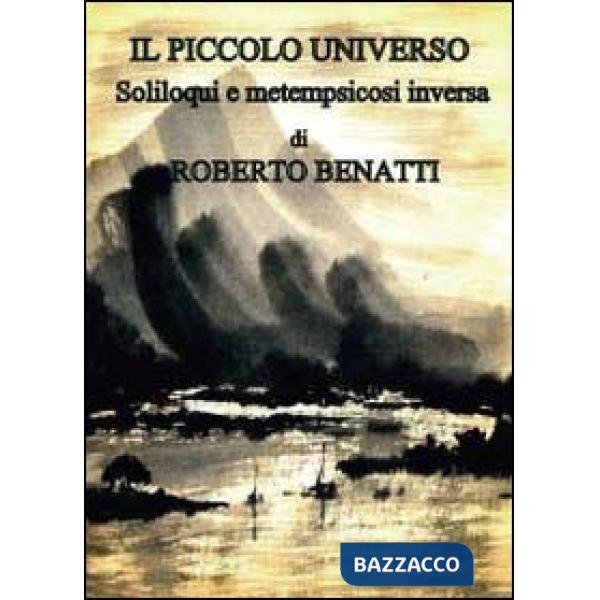 Piccolo universo (Il)