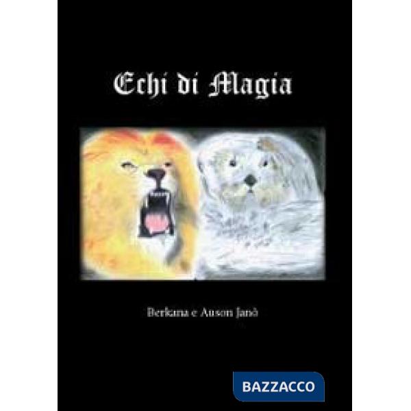 Echi di magia