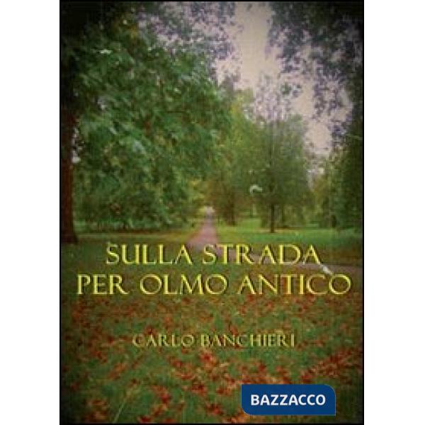 Sulla strada per Olmo Antico