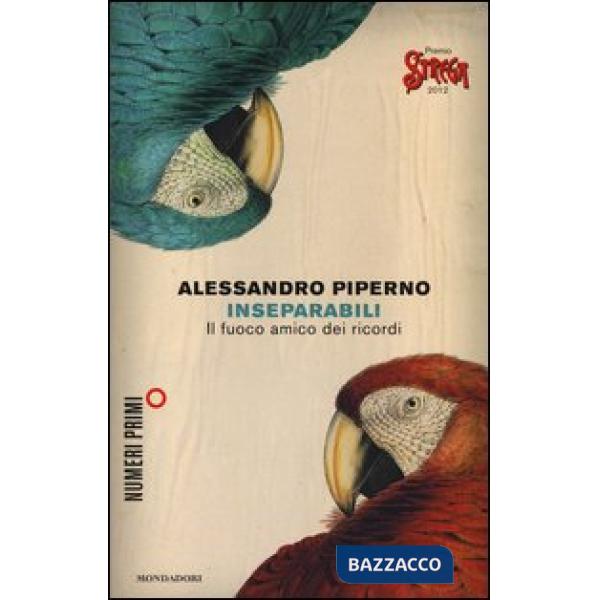 Inseparabili. Il fuoco amico dei ricordi