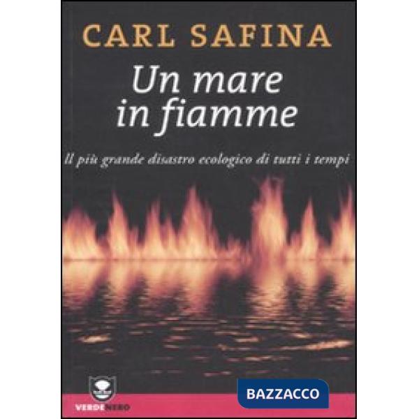 Mare in fiamme. Il più grande disastro ecologico di tutti i tempi (Un)