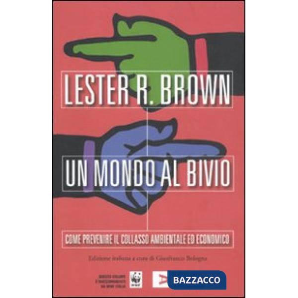Mondo al bivio. Come prevenire il collasso ambientale ed economico (Un)