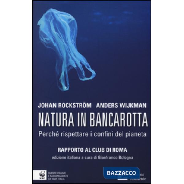 Natura in bancarotta. Perché rispettare i confini del pianeta. Rapporto al Club