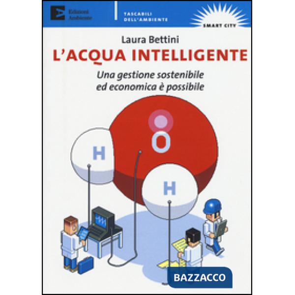 Acqua intelligente. Una gestione sostenibile ed economica è possibile (L')