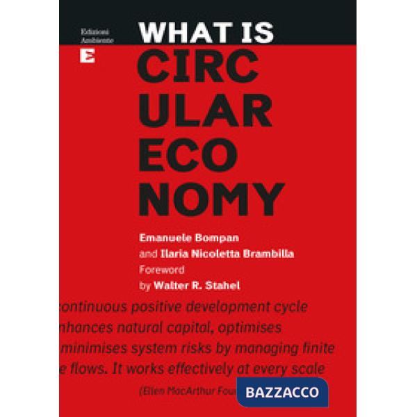 What is circular economy