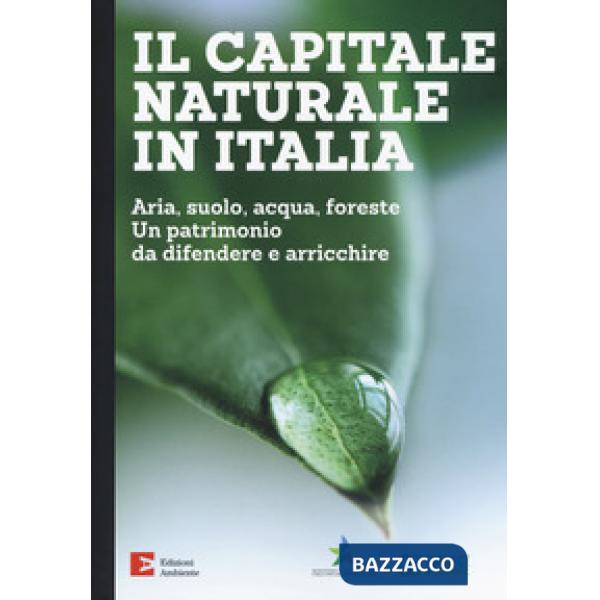 Capitale naturale in Italia. Aria, suolo, acqua, foreste. Un patrimonio da difendere e arricchire (Il)