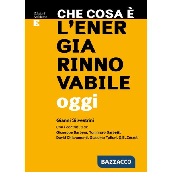 Che cosa è l'energia rinnovabile oggi