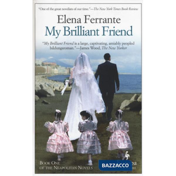 My brilliant friend. Vol. 1