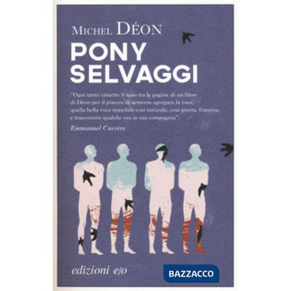 Pony selvaggi