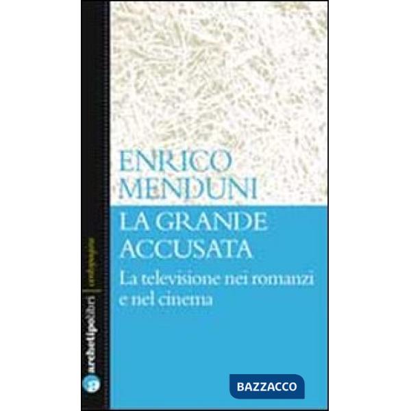 Grande accusata. La televisione nei romanzi e nel cinema (La)