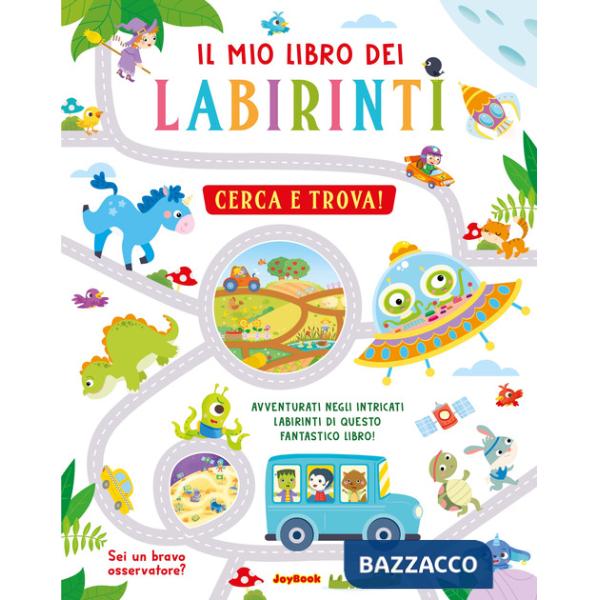 Mio libro dei labirinti. Cerca e trova! Ediz. a colori (Il)