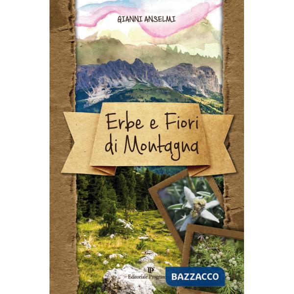 Erbe e fiori di montagna. Ediz. illustrata