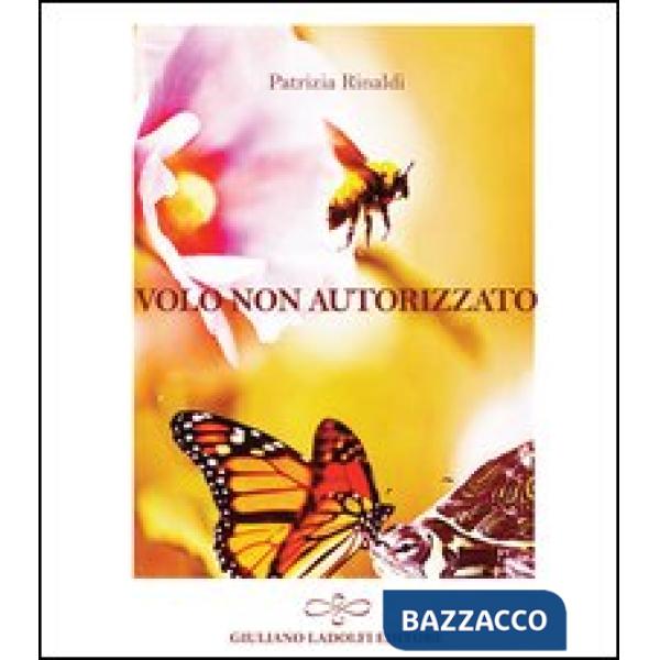 Volo non autorizzato