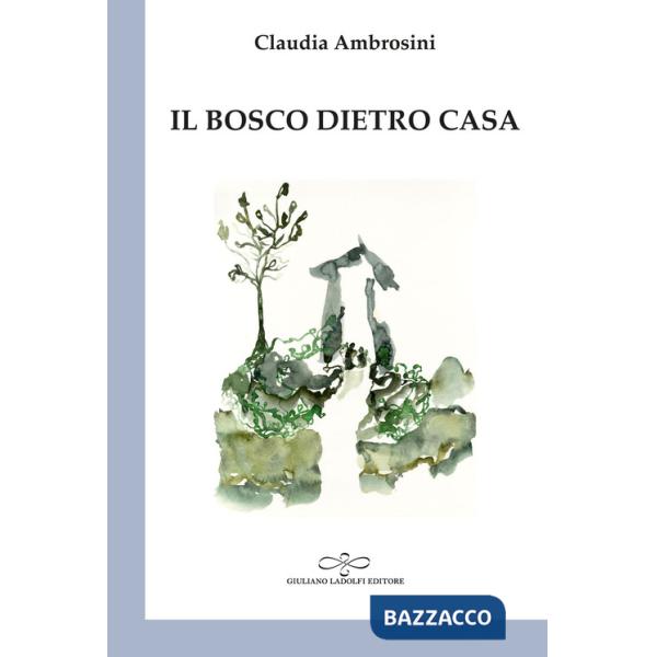 Bosco dietro casa (Il)