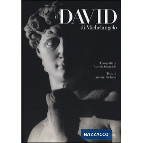 David di Michelangelo. Ediz. illustrata (Il)