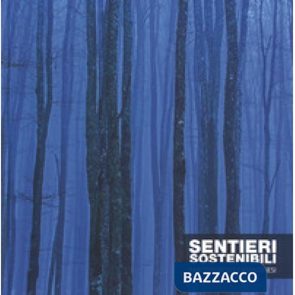 Sentieri sostenibili. Parco foreste casentinesi. Ediz. italiana e inglese