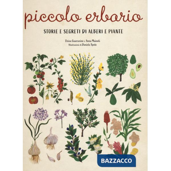 Piccolo erbario. Storie e segreti di alberi e piante. Ediz. a colori