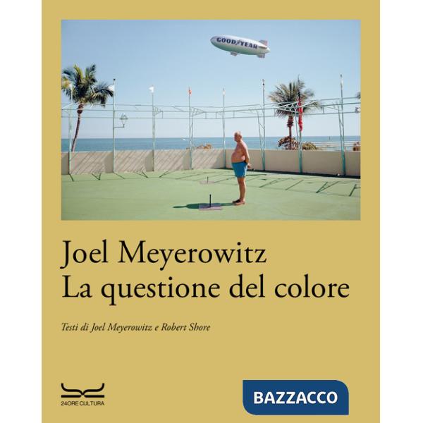 Questione del colore (La)